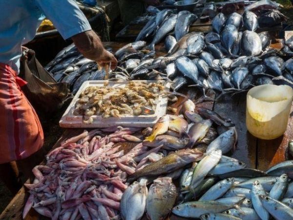 Vinh Luong Seafood Market